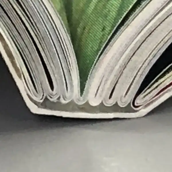 Lombada de revista aberta mostrando os cadernos dobrados do miolo